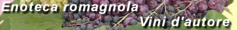 Vendita online prodotti tipici romagnoli
